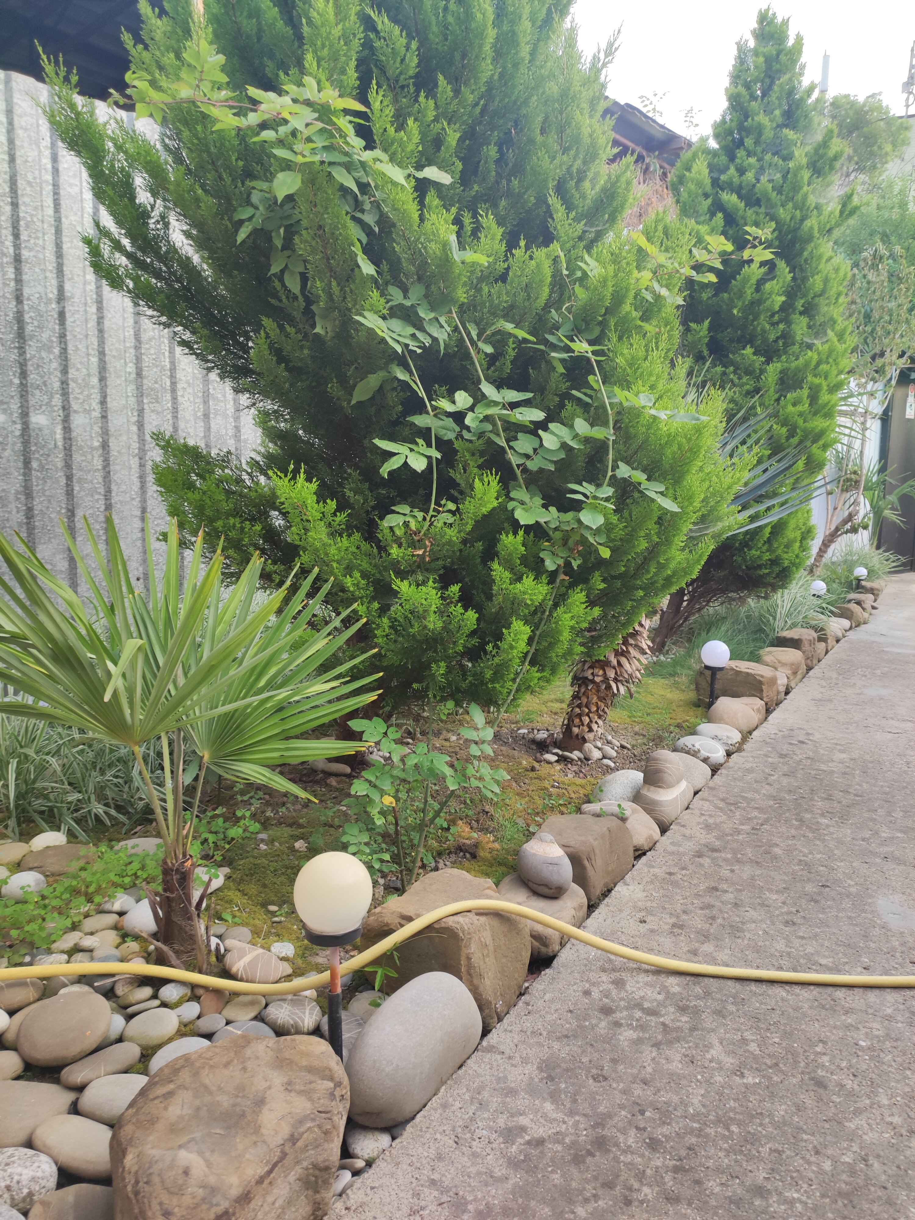 Фото Уютный дворик