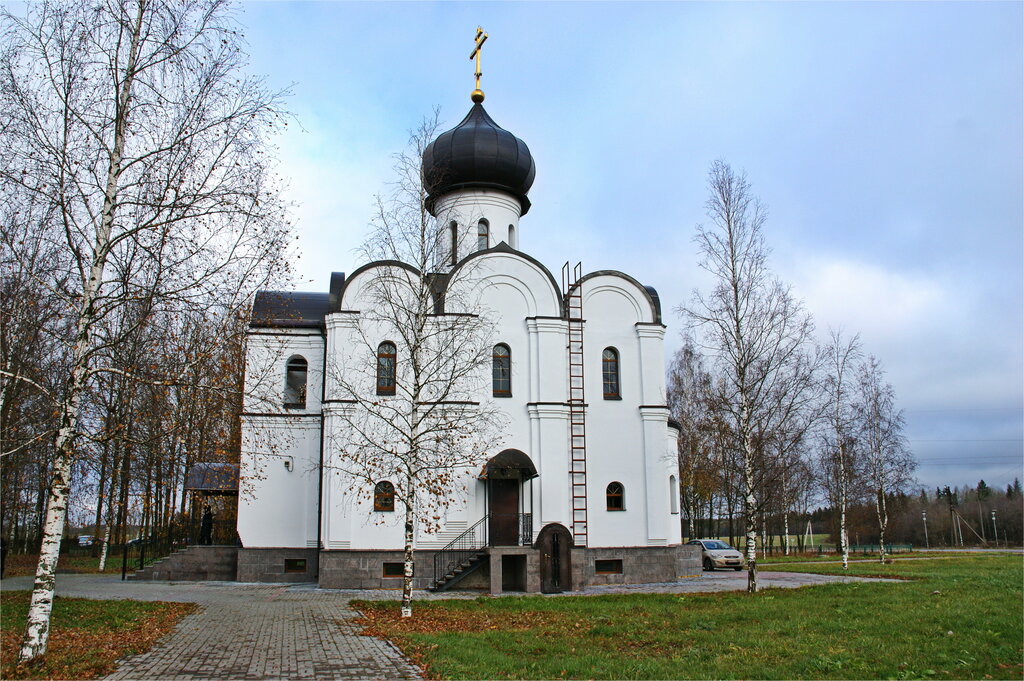 كنيسة أرثوذكسية Church of Saint Blessed Xenia of Saint Petersburg ، سانت بطرسبرغ ومقاطعة لينينغراد، صورة