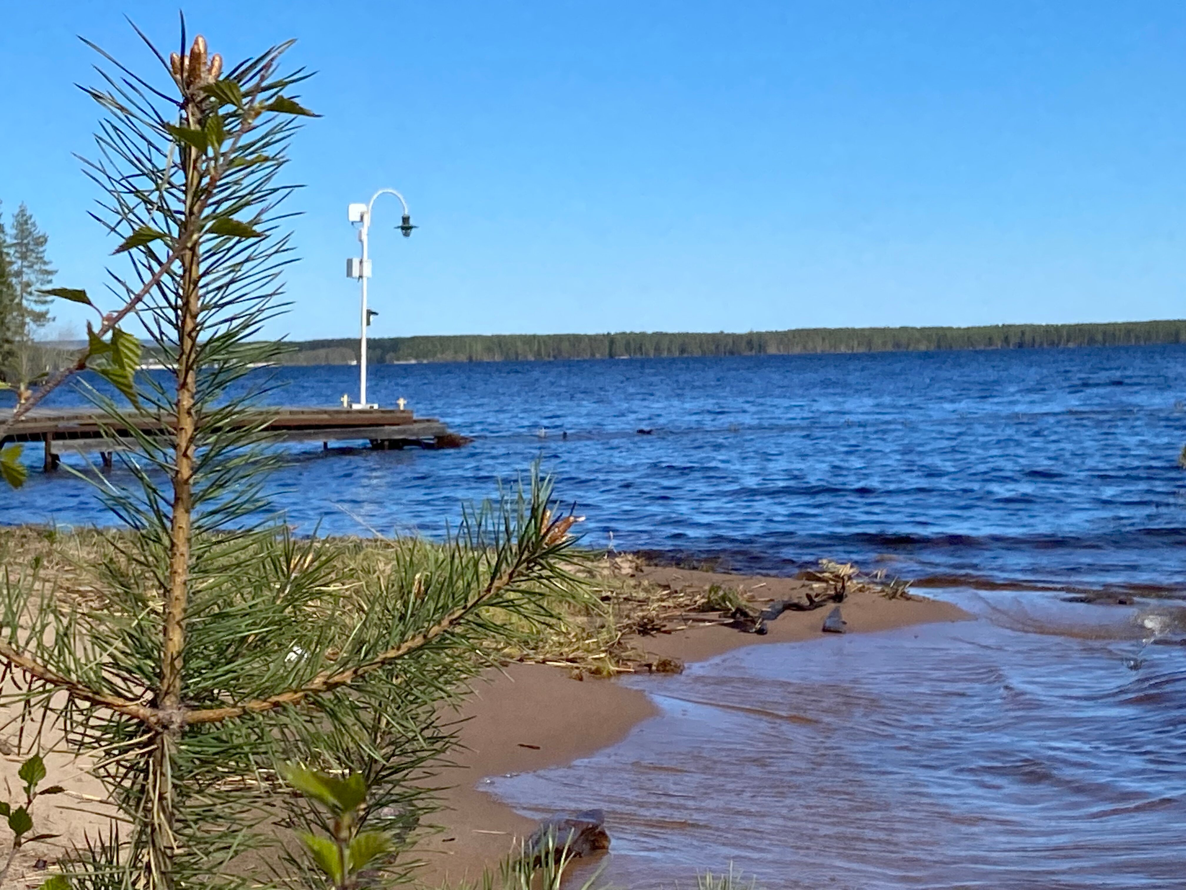 Фото Серебро Онеги