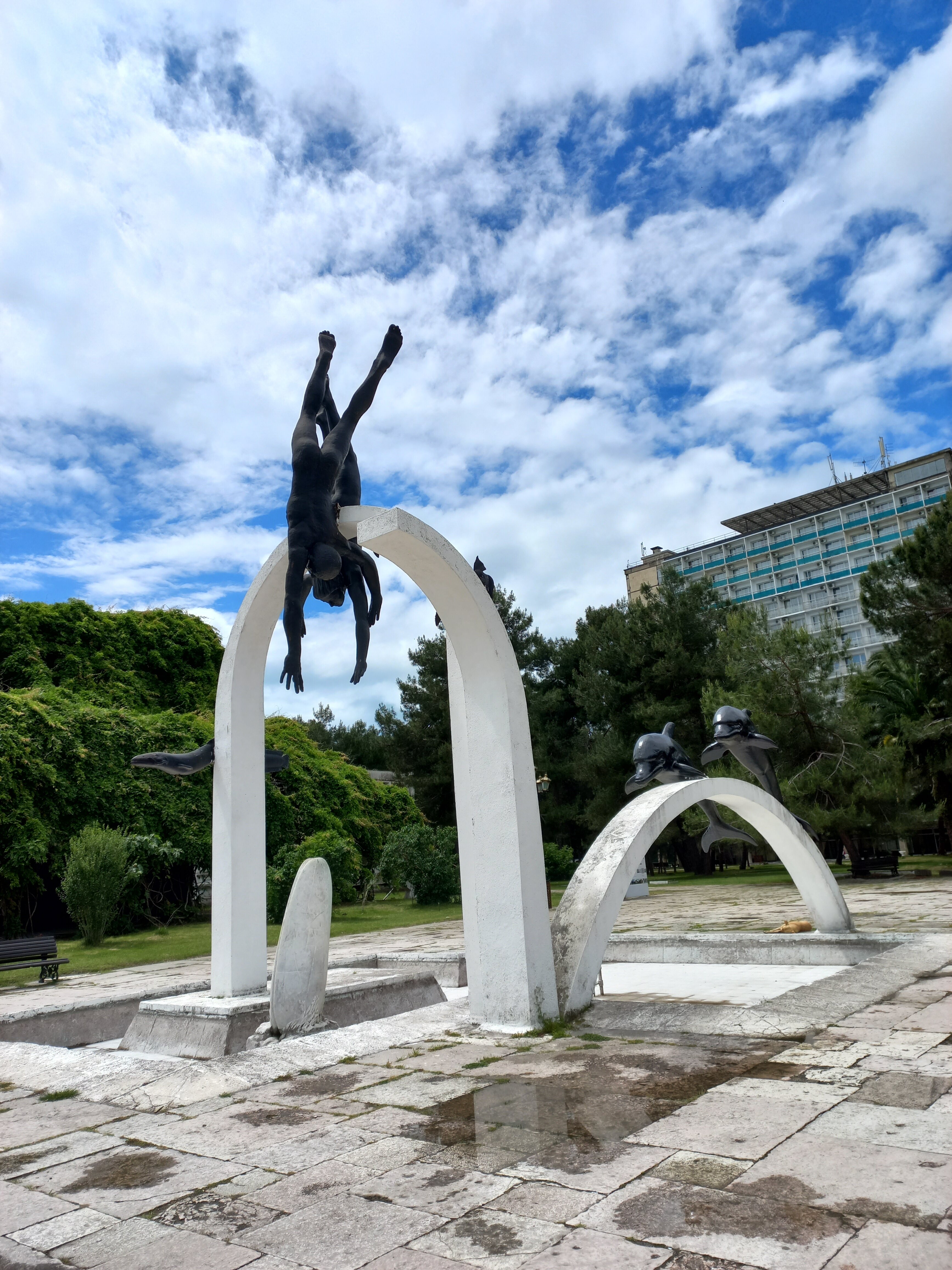 Фото Бугенвиллея