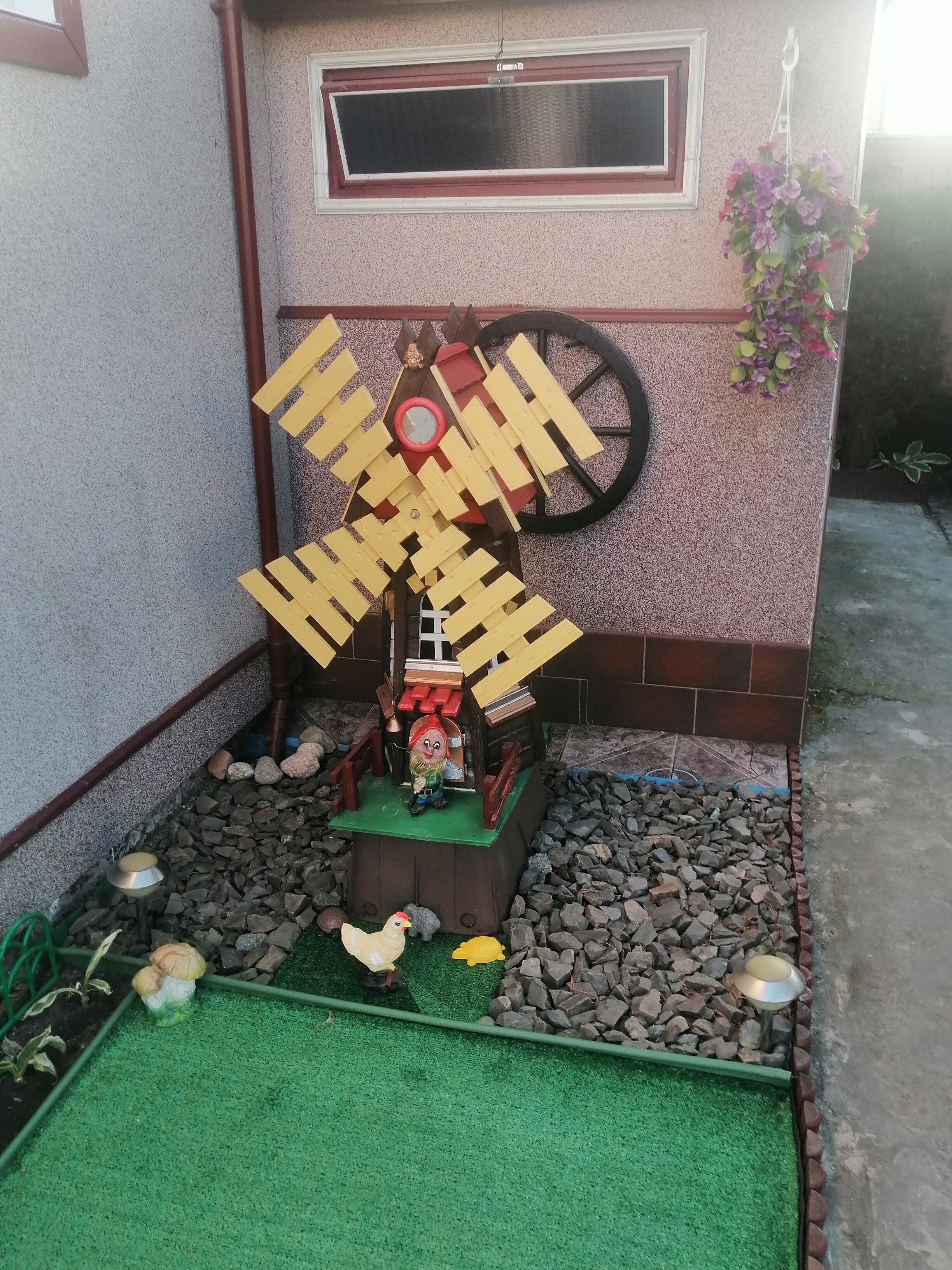 Фото Звезда