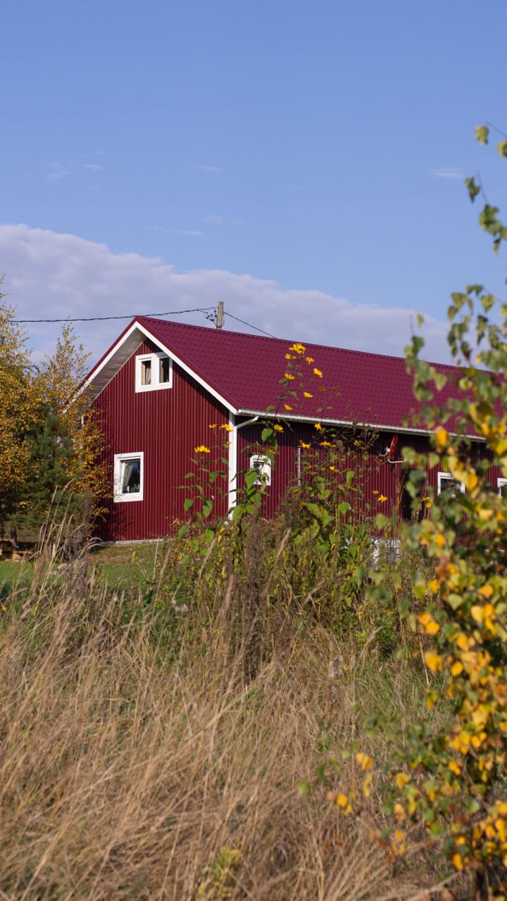 Фото Ярви Хаус