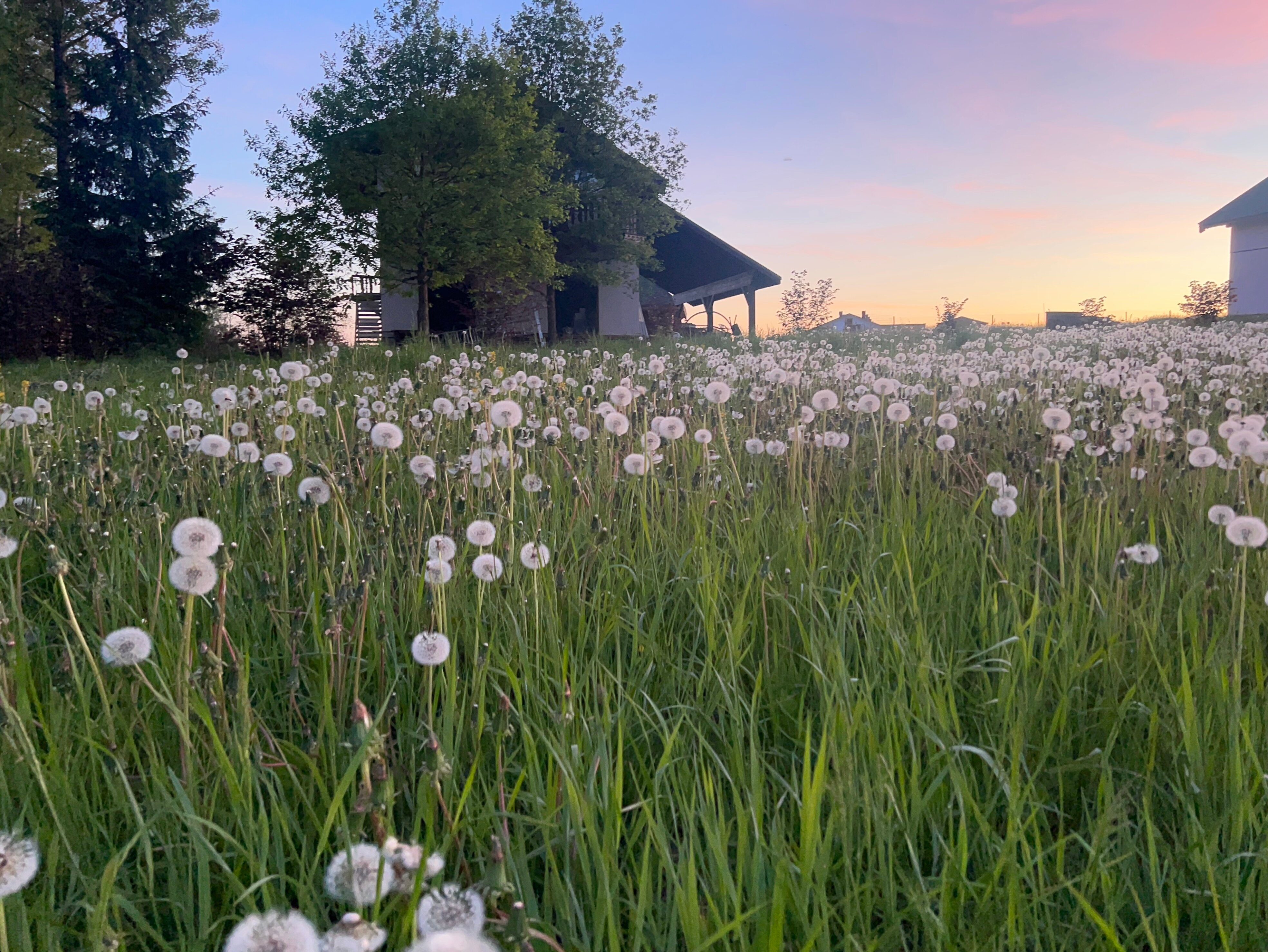 Фото Экоферма Елизарово