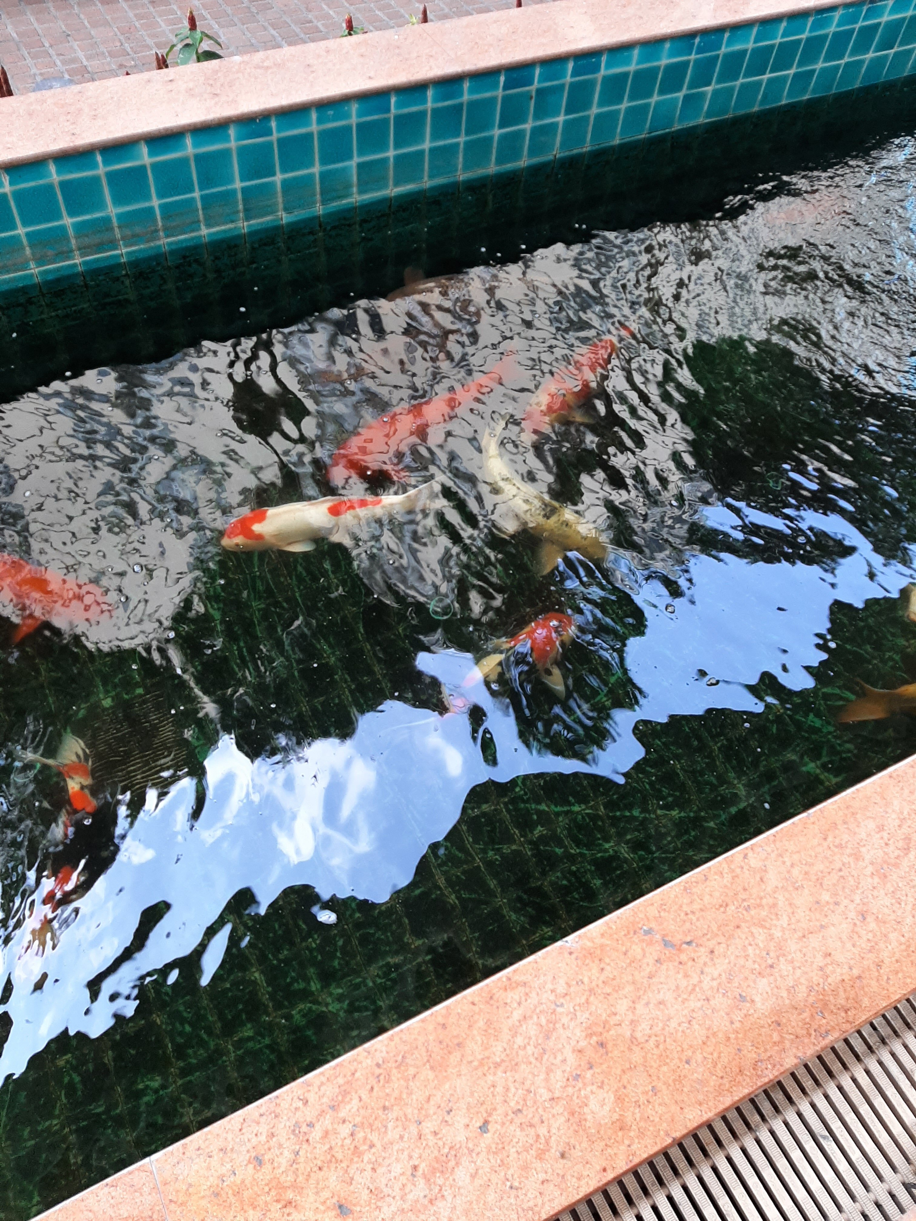 Фото Nasa Bangkok