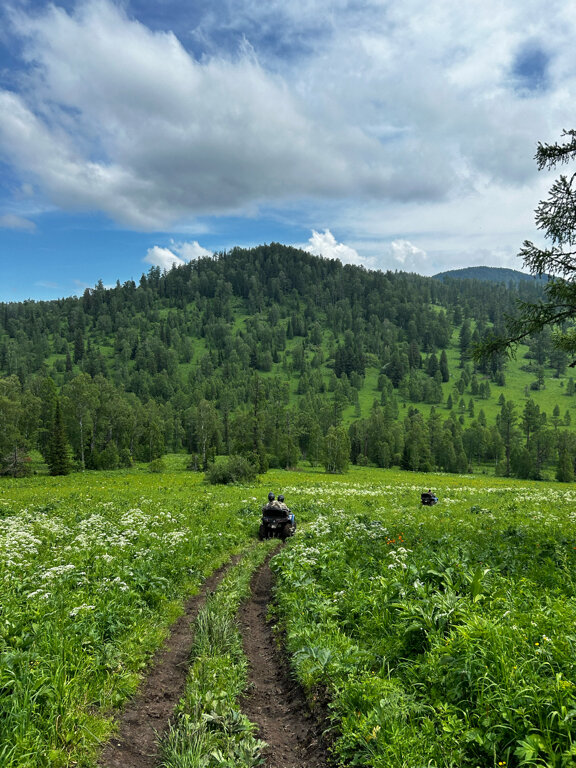 Фото Cosmos Collection Altay Resort