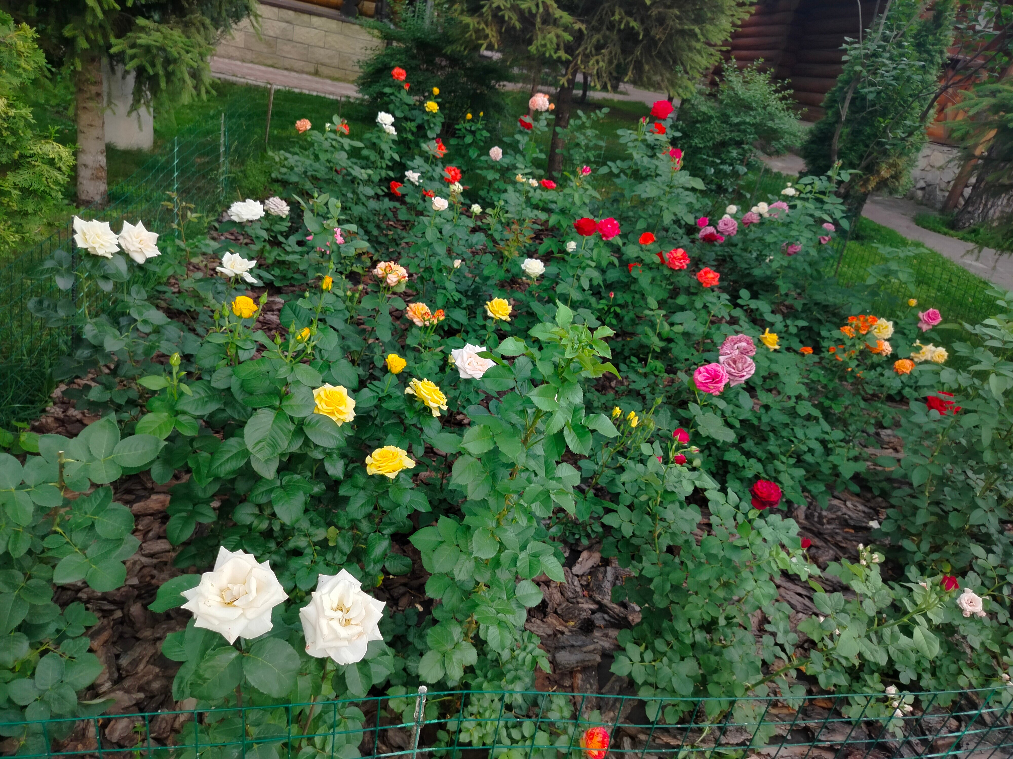 Фото Восьмая миля