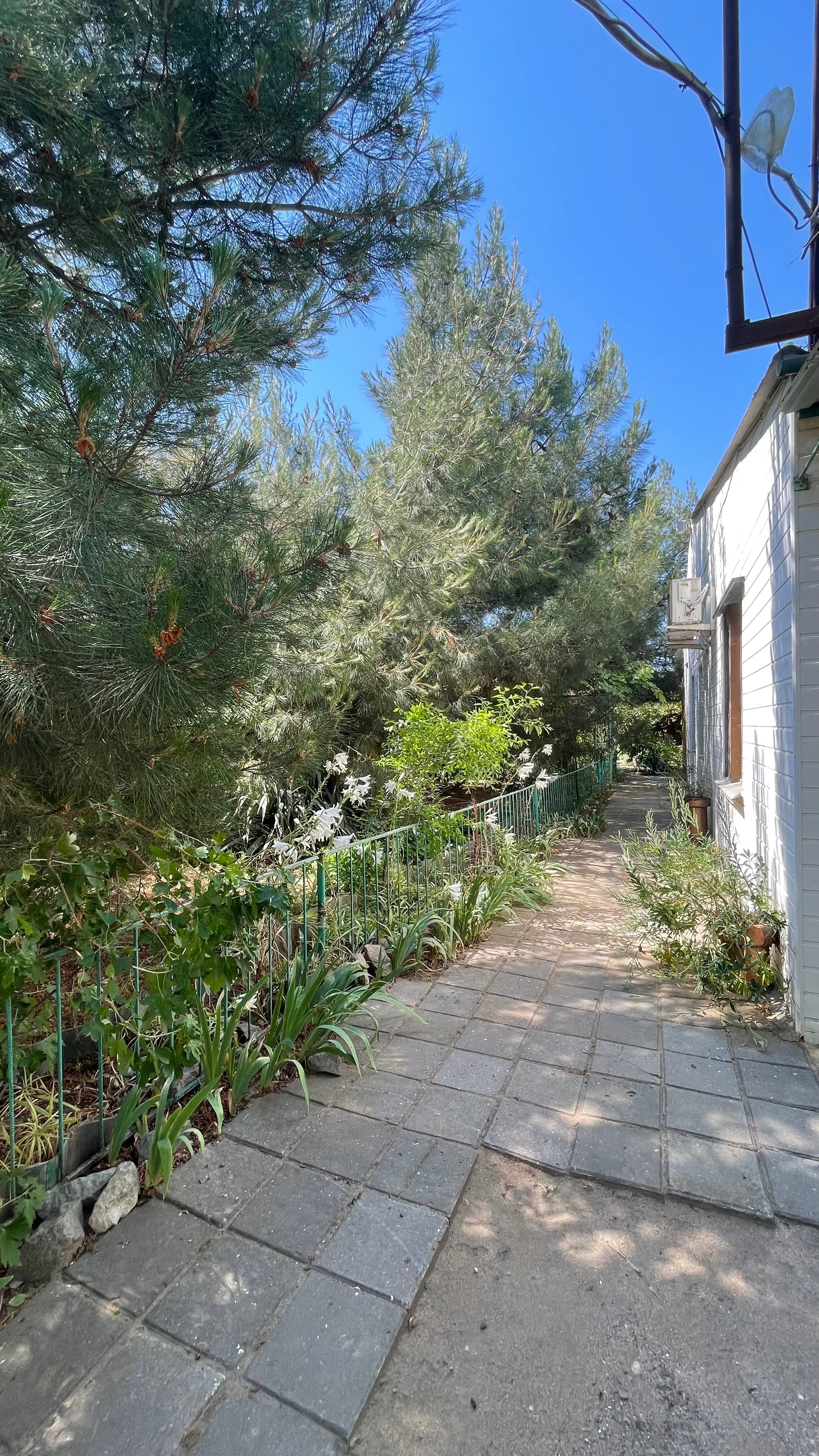 Фото КристОля