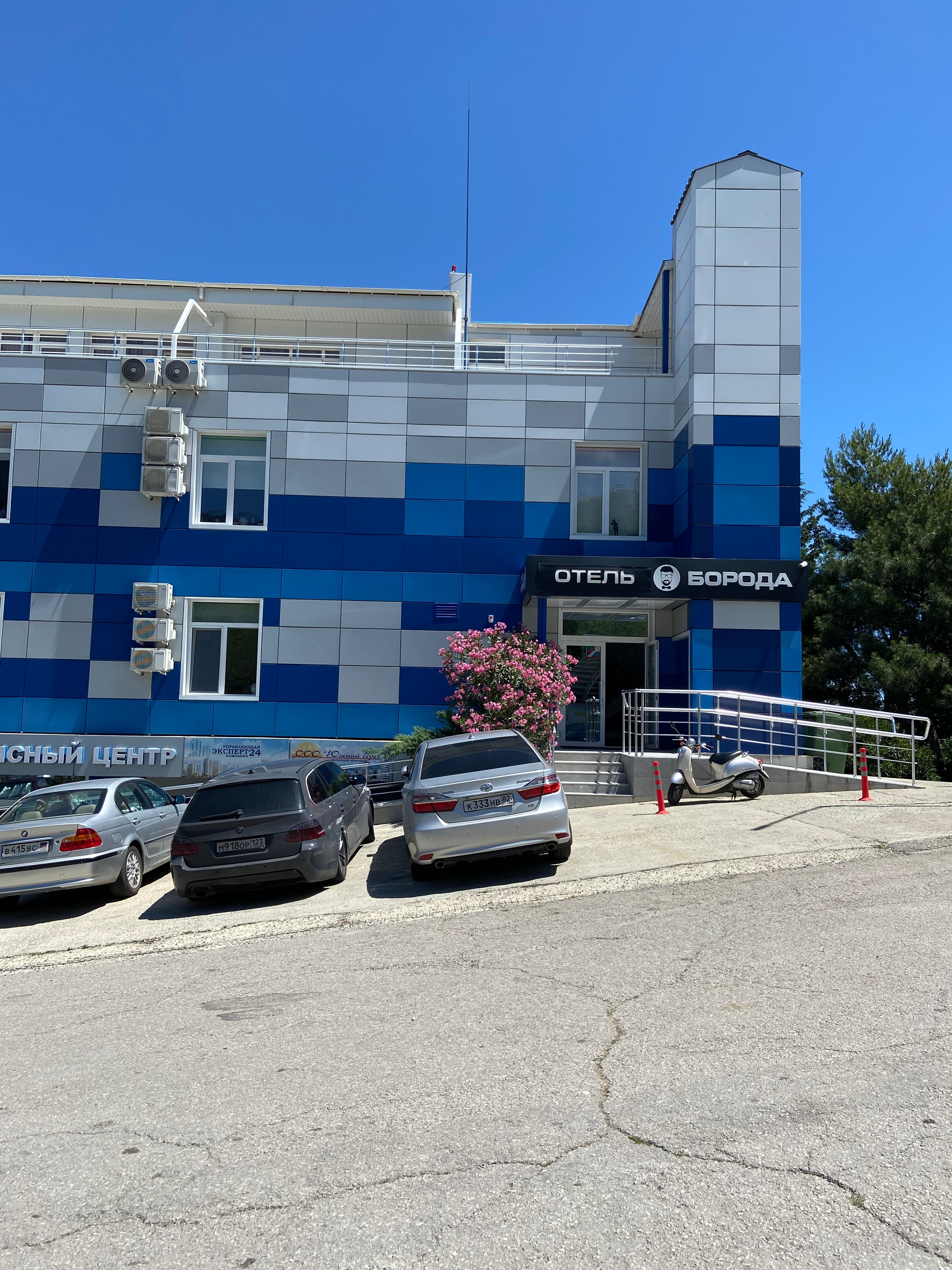 Фото Борода