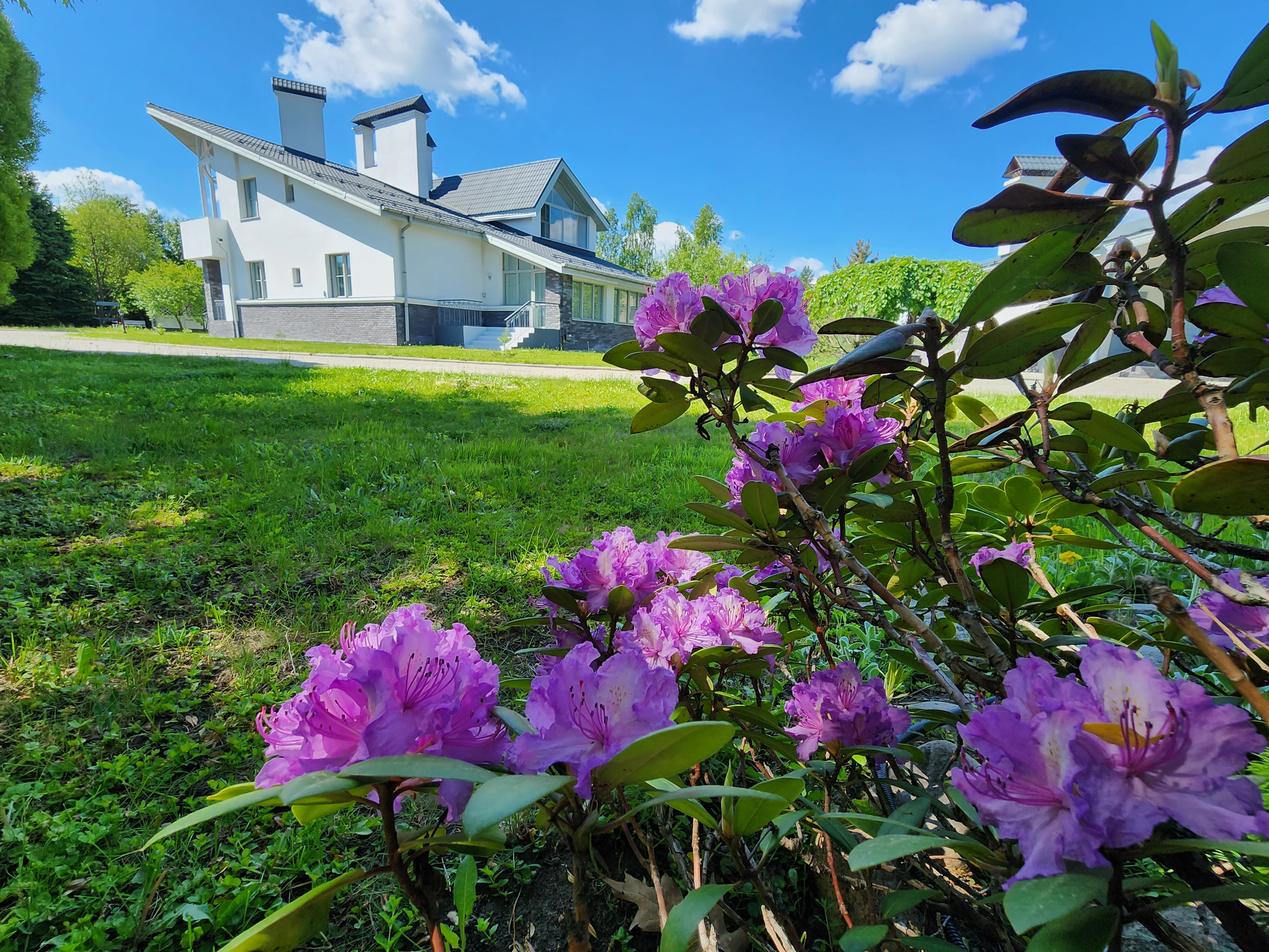 Фото White Luxe Villa