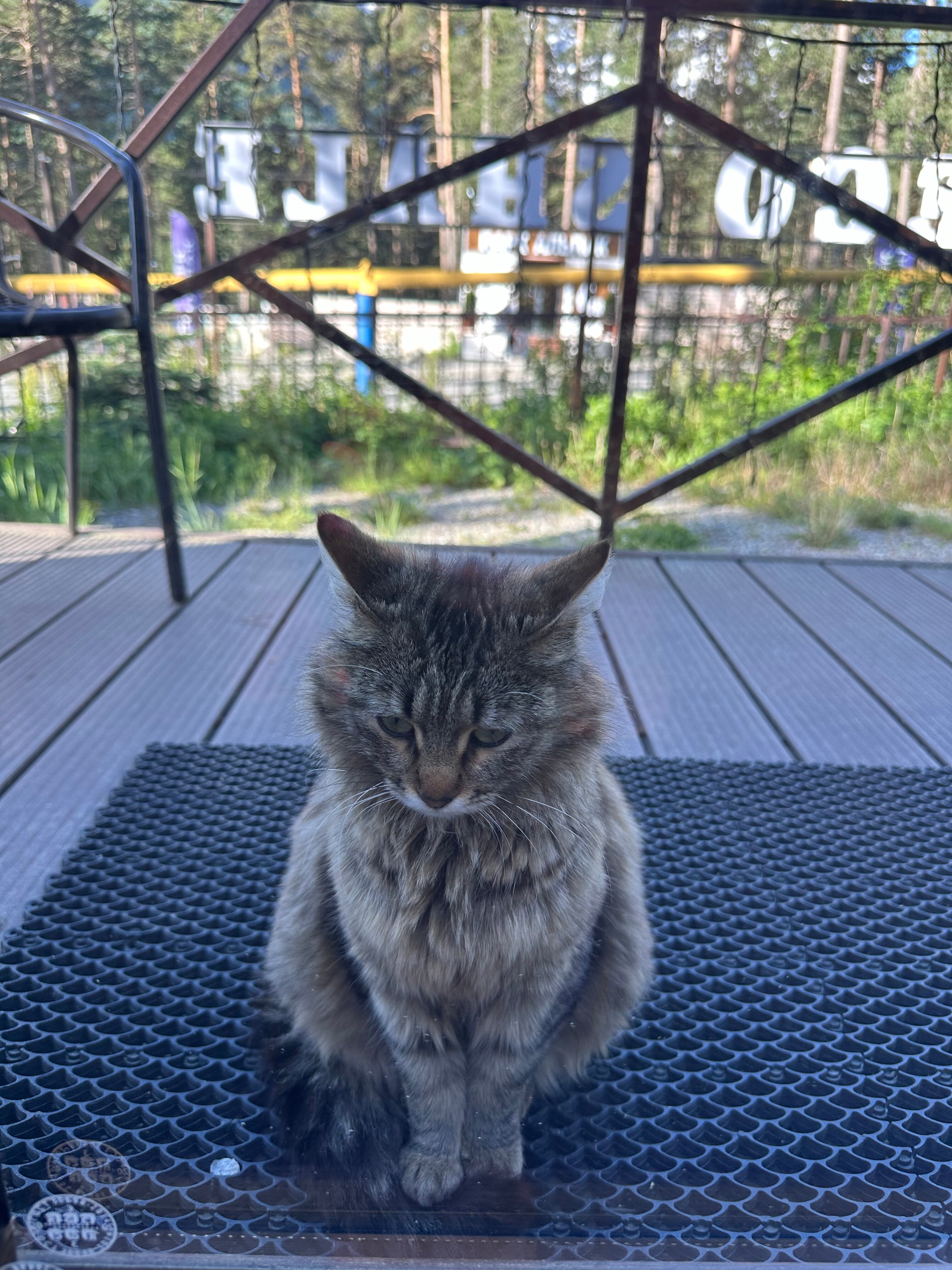 Фото Eco Shale Чегет