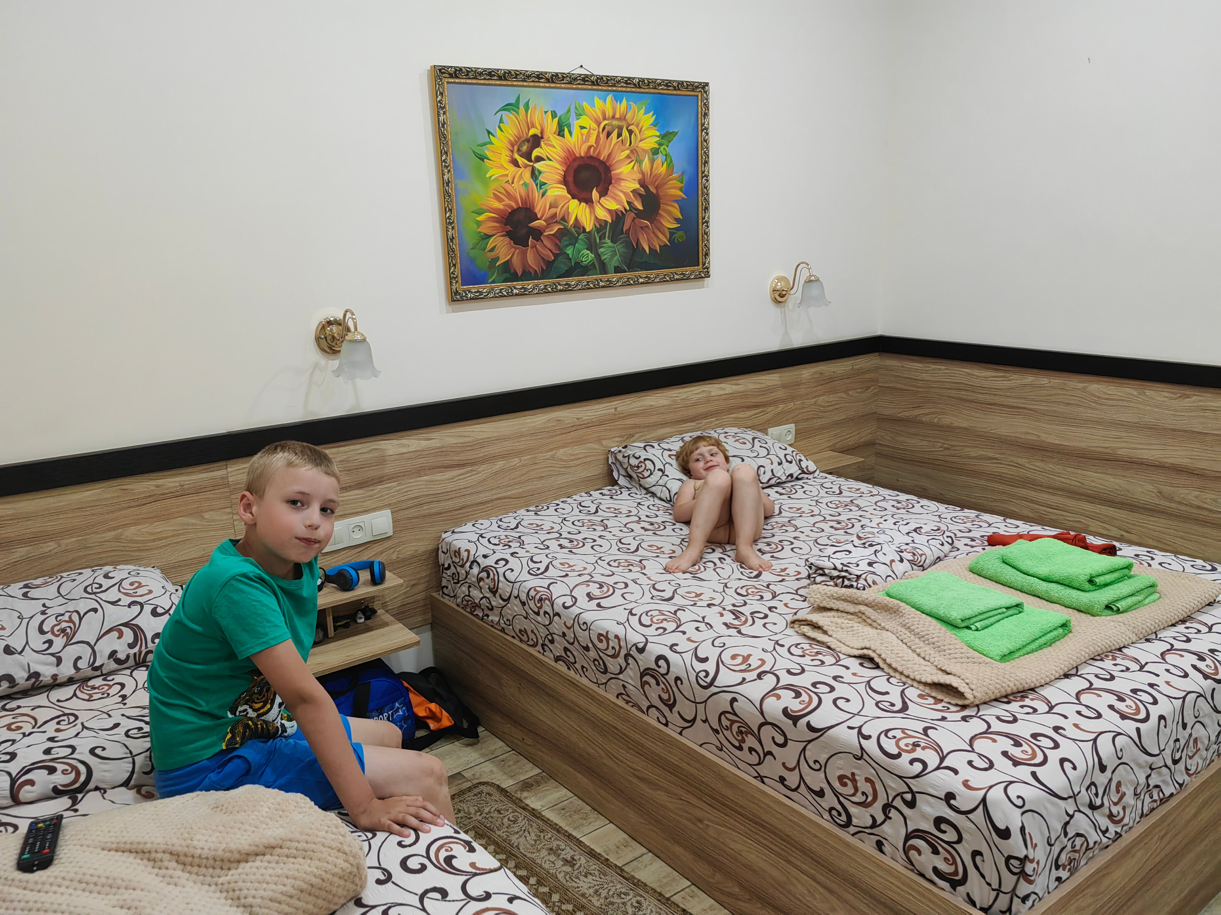 Фото Подсолнух