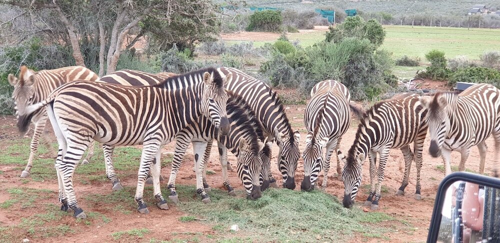 Фото Valley Bushveld Country Lodge
