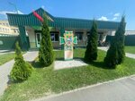 Катер (Гомель, улица Борисенко, 20), таможня в Гомеле
