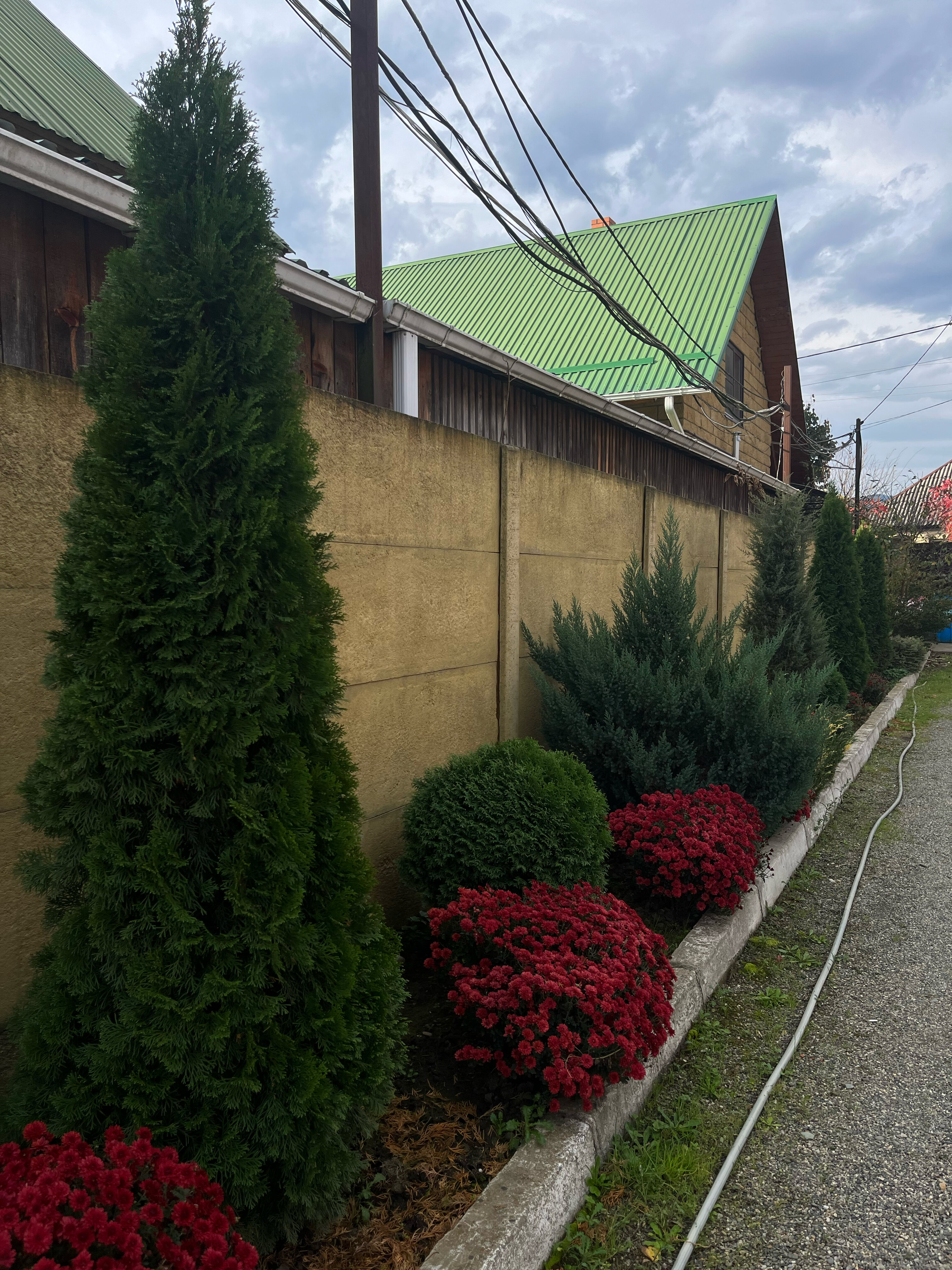 Фото Горный бриз