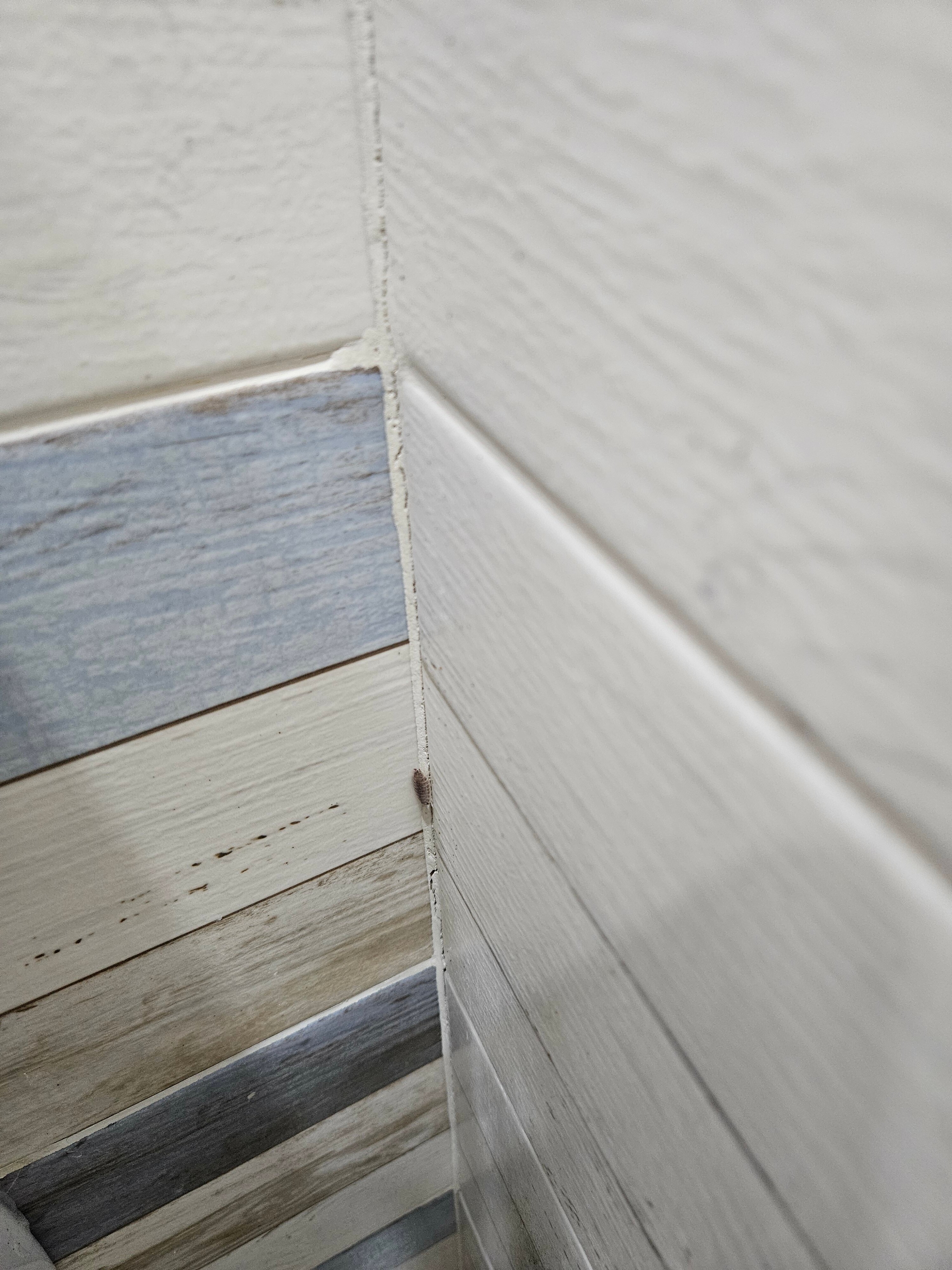 Фото Победа