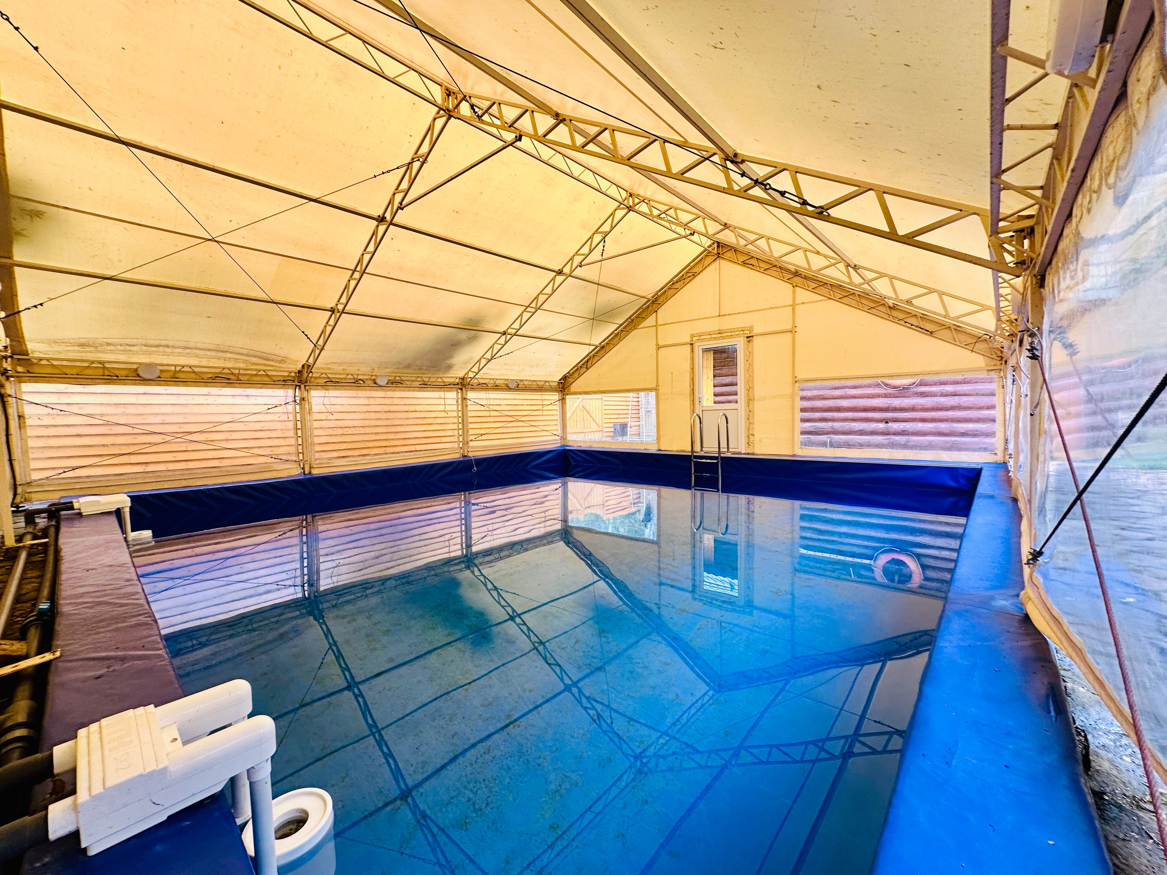 Фото Сосны-Лес