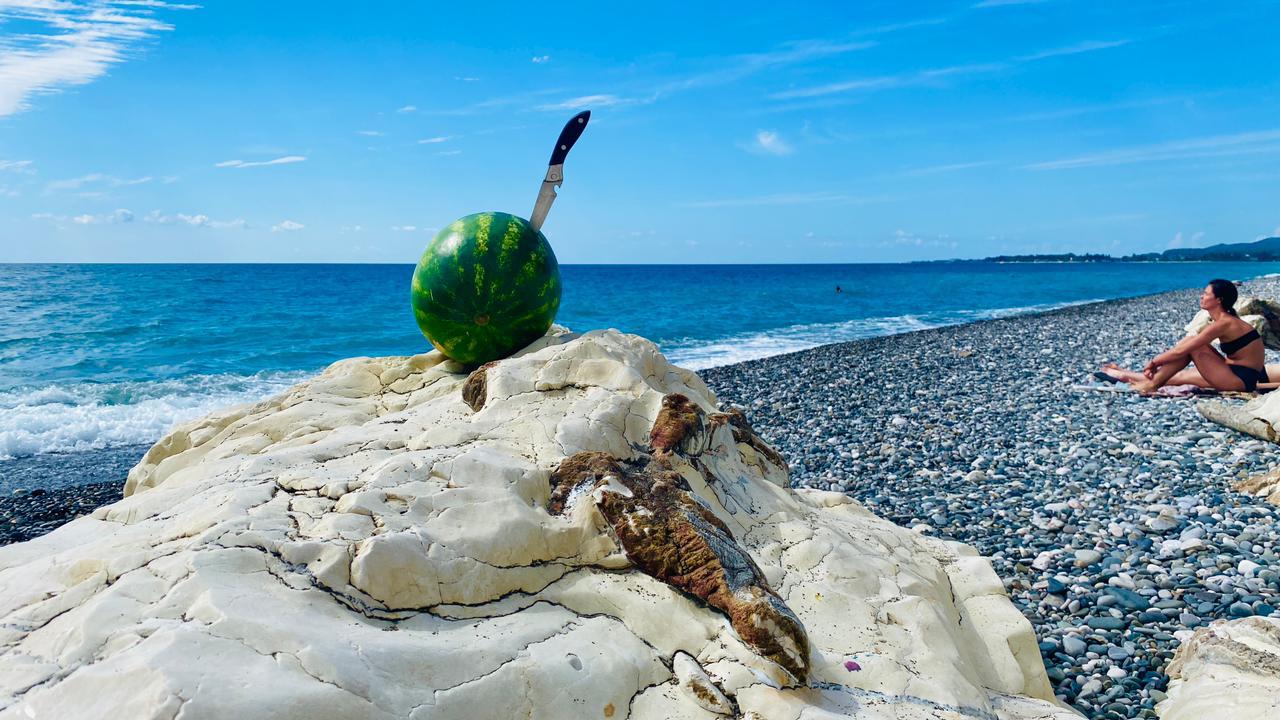 Фото Гостевой дом Sauchi