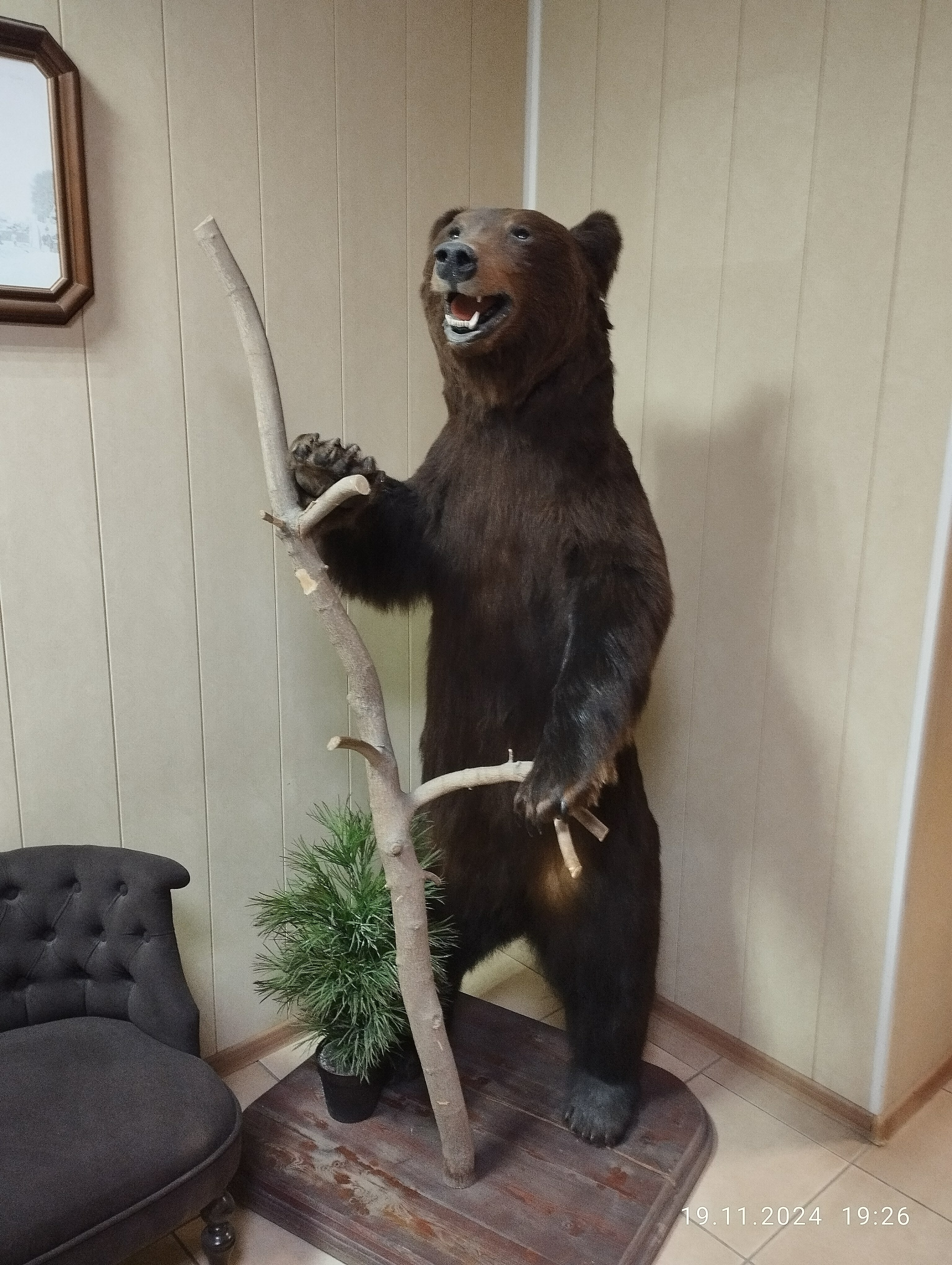 Фото Регион 59