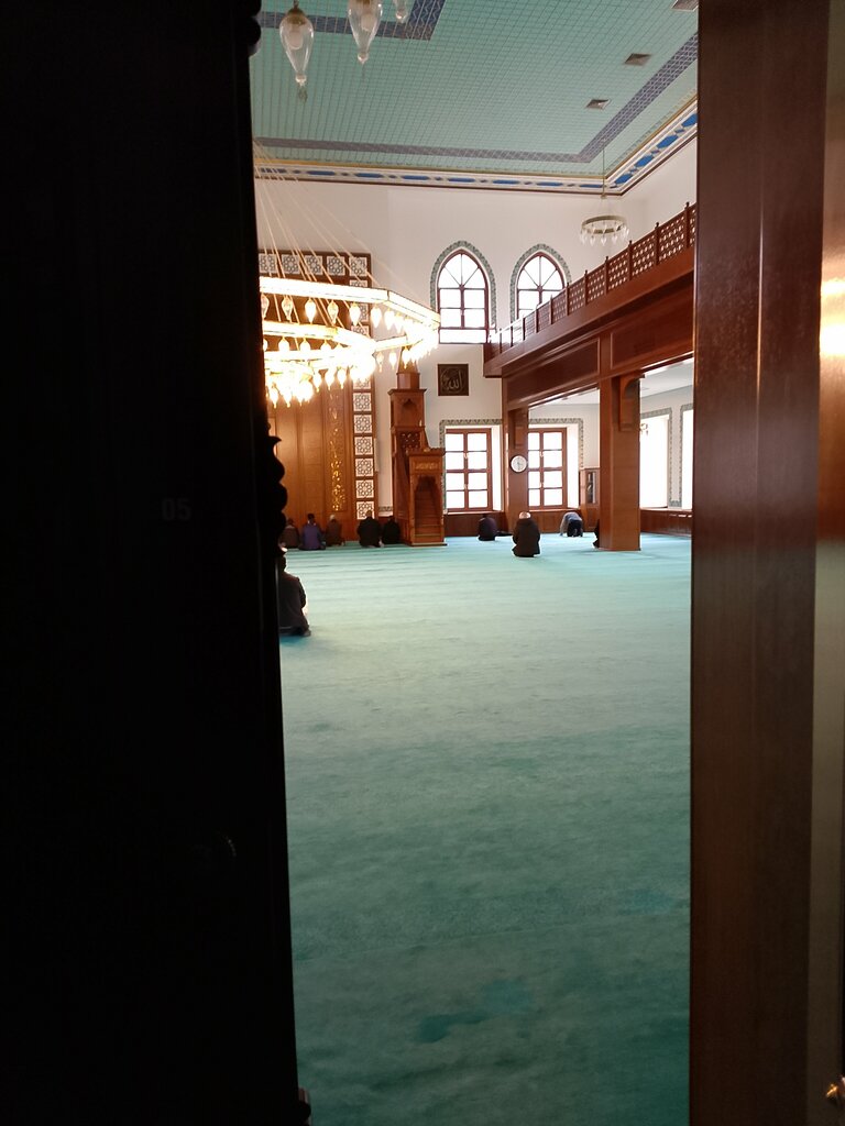 Mosque University of Health Sciences Gulhane Mosque, Ankara, photo