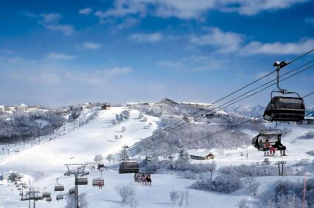 Фото Madarao Elm Pension