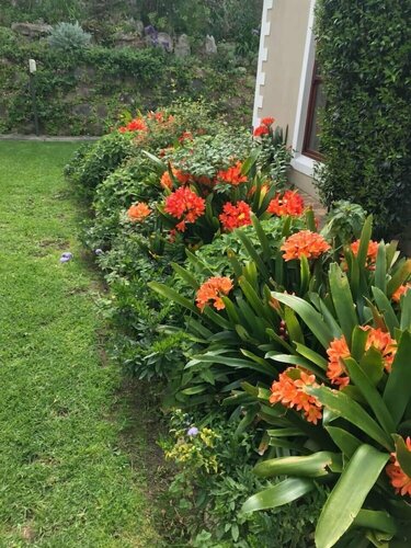 Гостиница Valley Heights Guest House B&b в Кейптауне