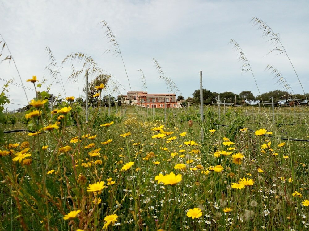Фото Tenuta Petra Bianca
