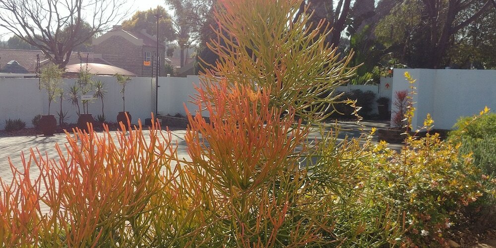 Фото Wilger Guesthouse