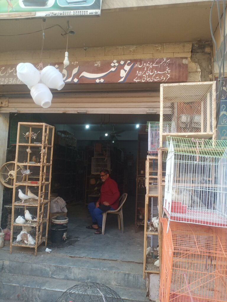 Pet shop Gaoseya border, Lahore, photo