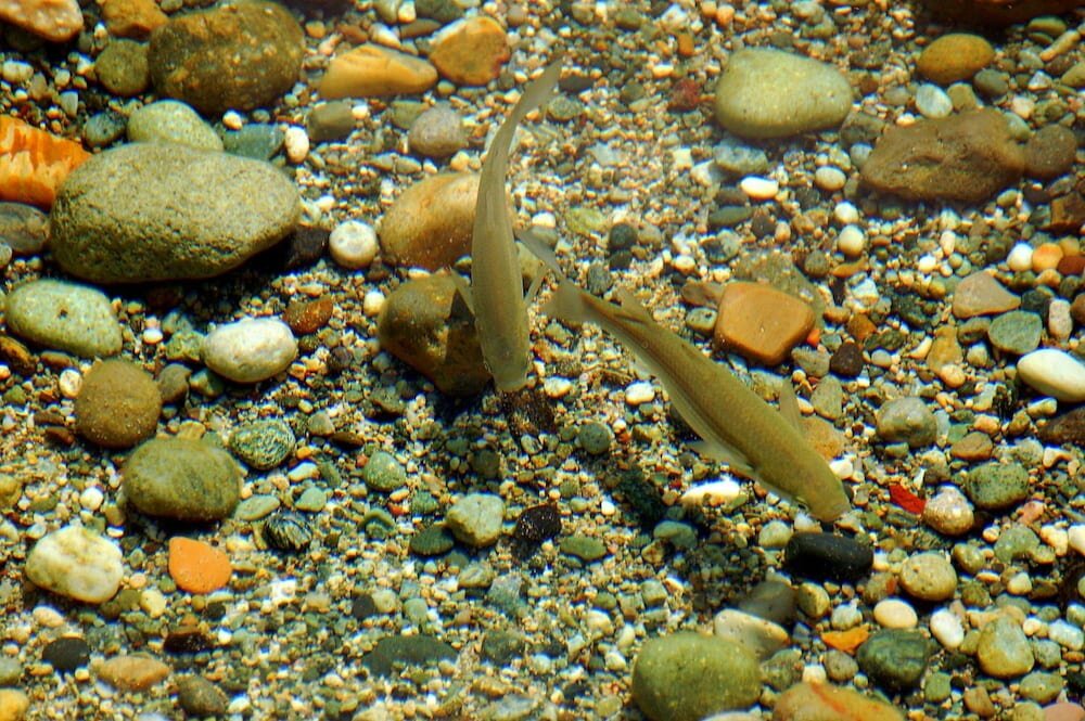 Фото Aeolis Hotel