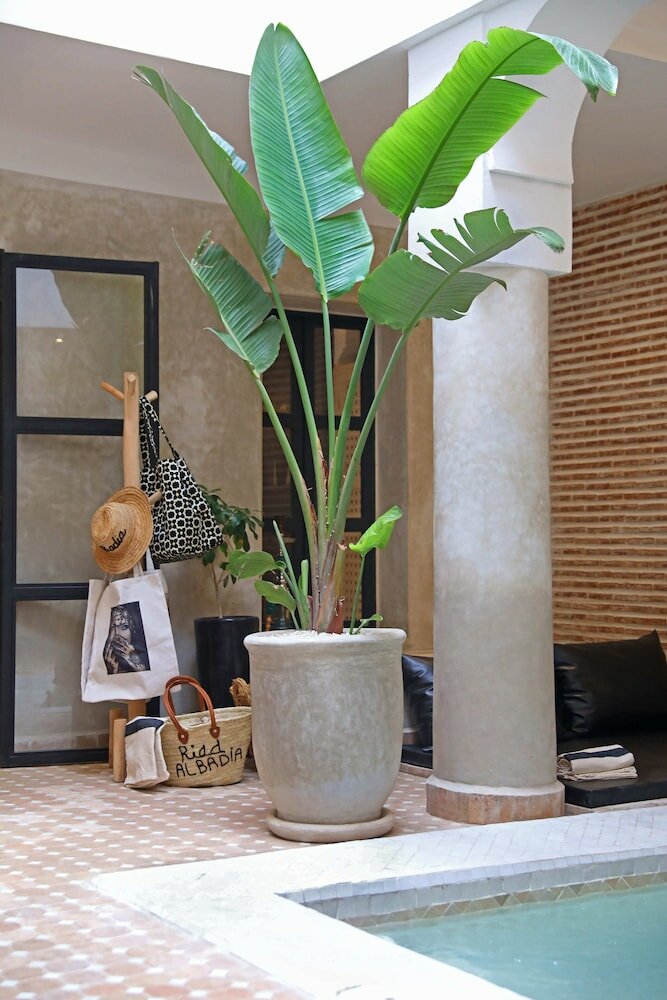 Фото Riad Al Badia