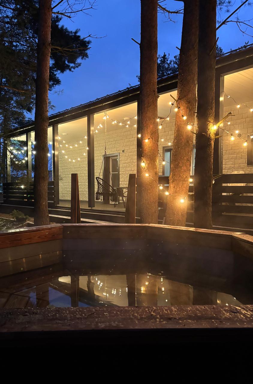 Фото Хвойная Гармония