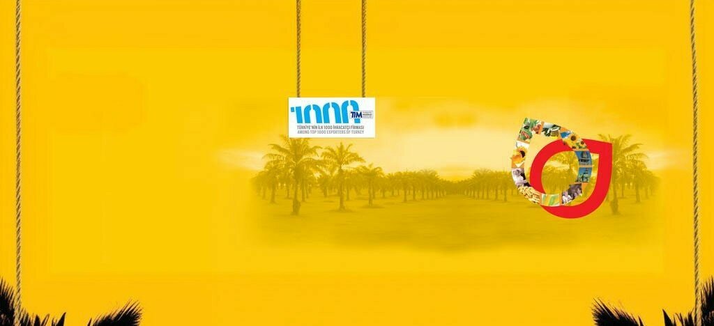 Food manufacturers Felda Iffco Gida, Izmir, photo