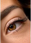 Marina Z-Lash (Zelenograd, к322А), eyebrow and eyelash salon