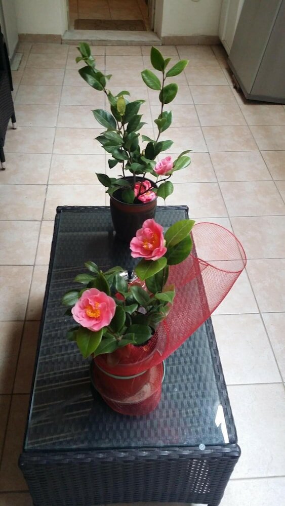 Фото B&b Casa Valeria