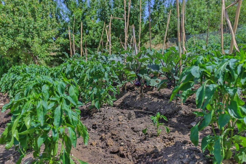 Фото Al Lago Verde