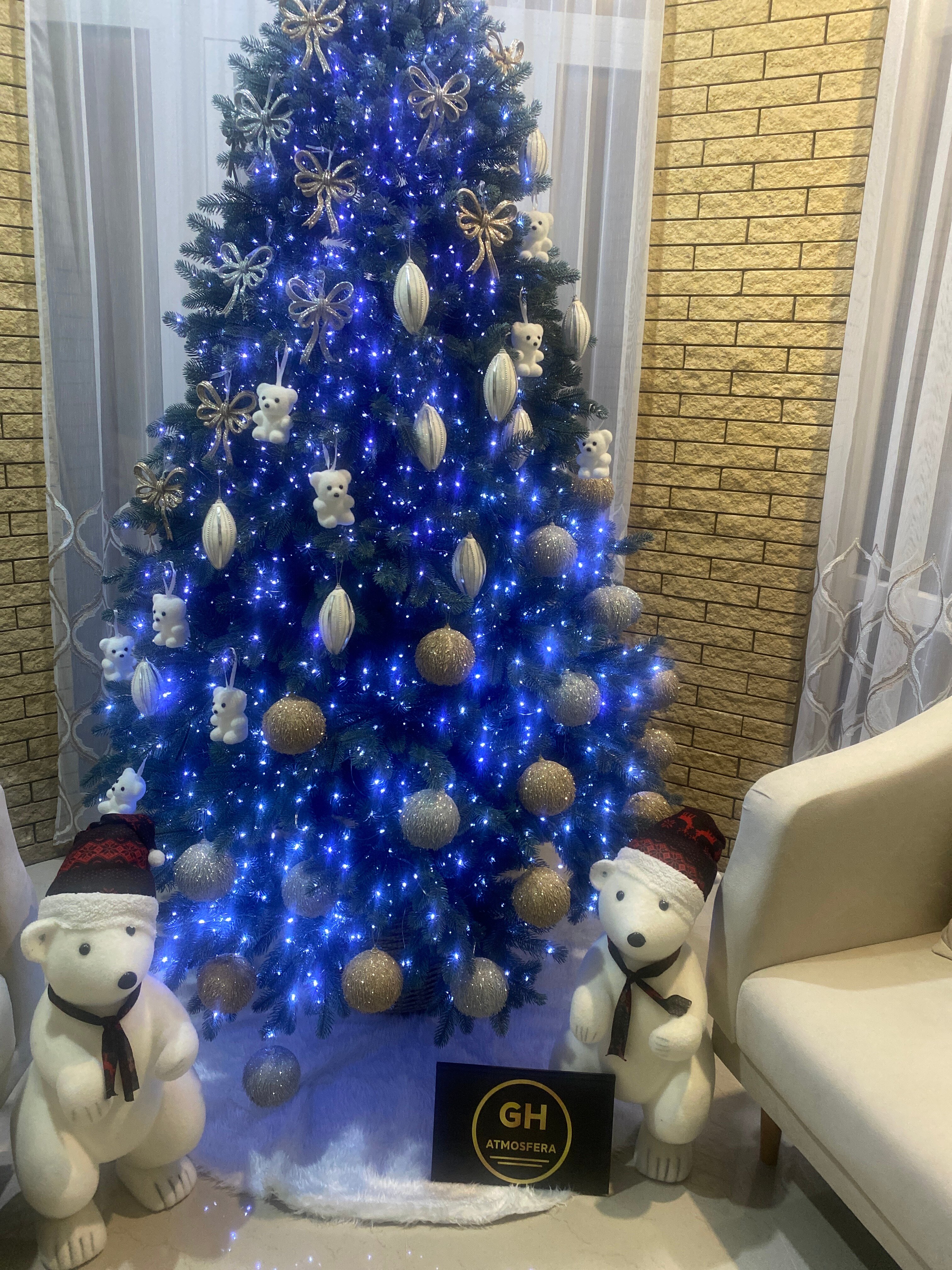 Фото Атмосфера