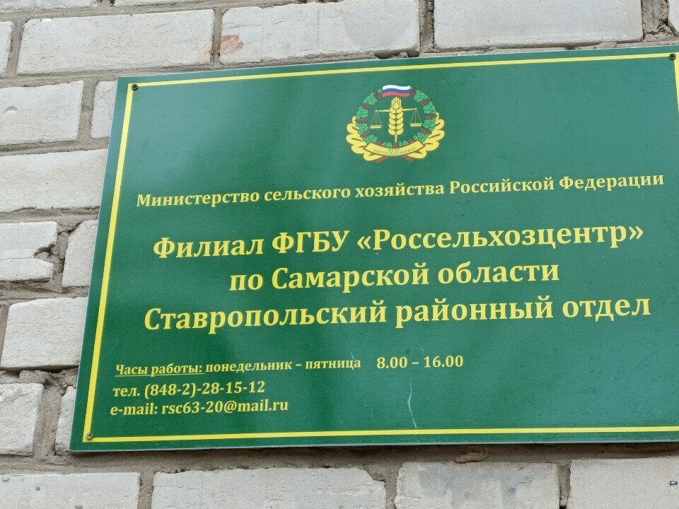 Expertise Stavropolsky rayonny otdel filiala Fgbu Rosselkhoztsentr po Samarskoy oblasti, Togliatti, photo
