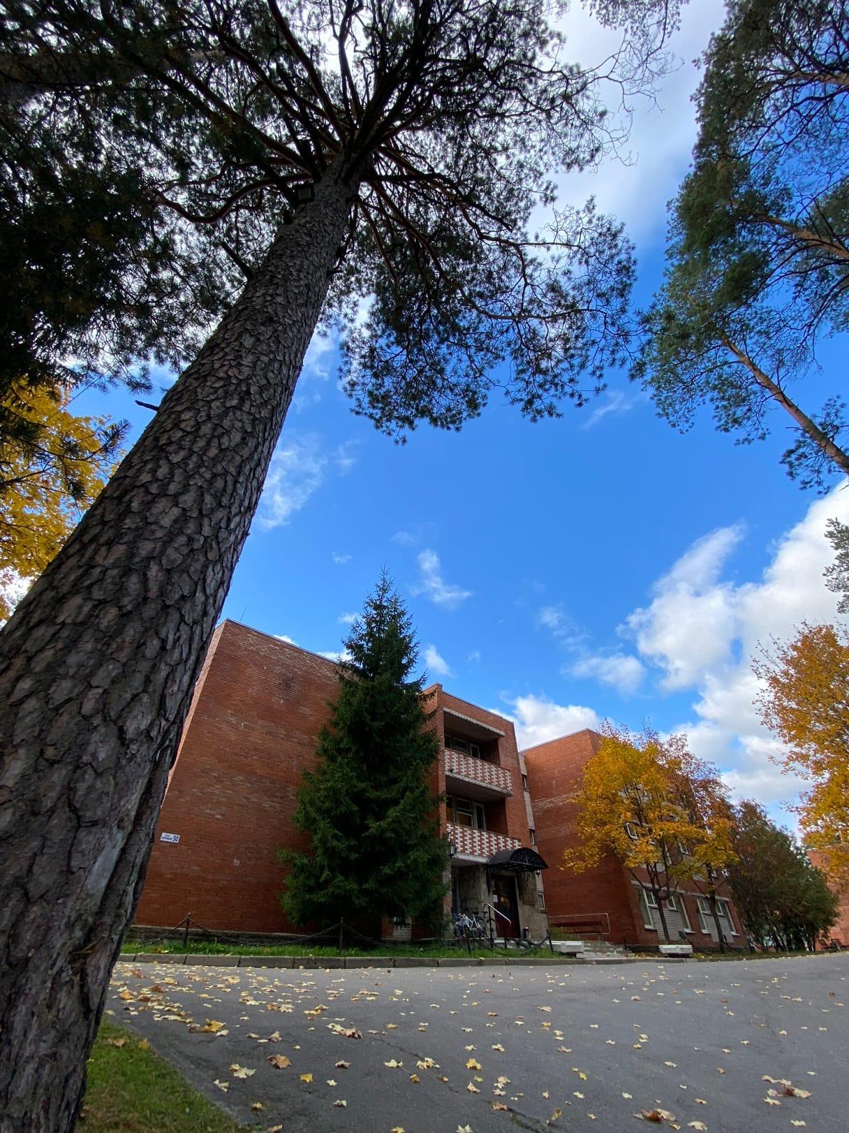 Фото Ольшаники