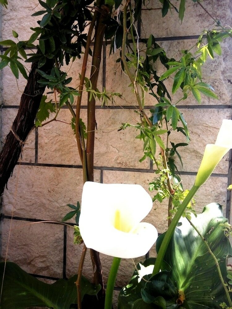 Фото Apartments Kate