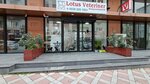 Lotus Veterinary Clinic (İstanbul, Eyüpsultan, Göktürk Merkez Mah., Göktürk Cad., 34C), clínica veterinaria
