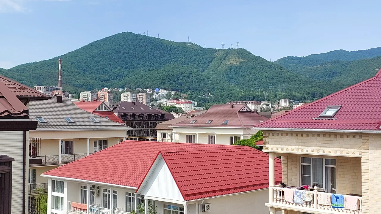 Фото Розмарин