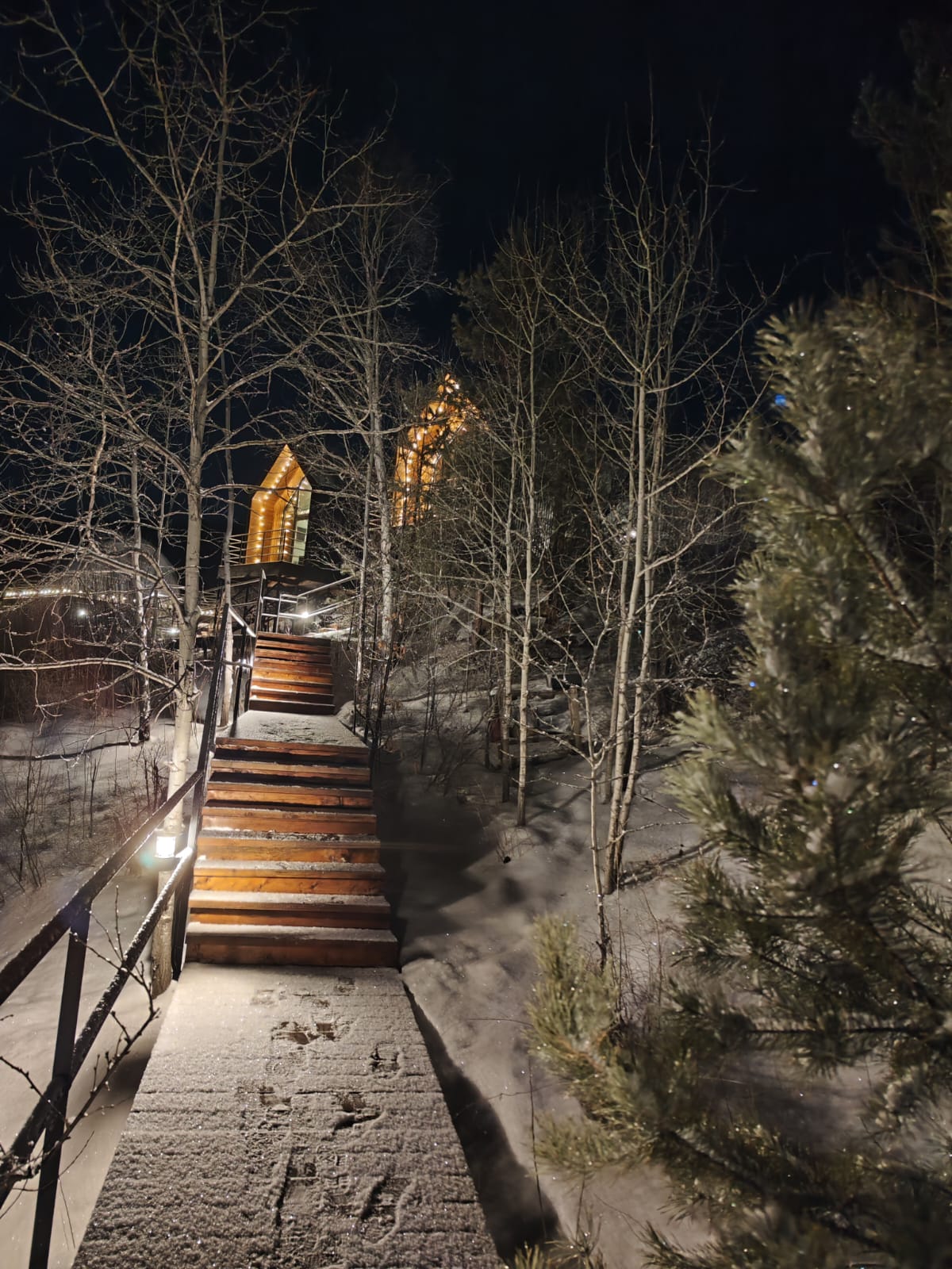 Фото 11 Гор Алтая