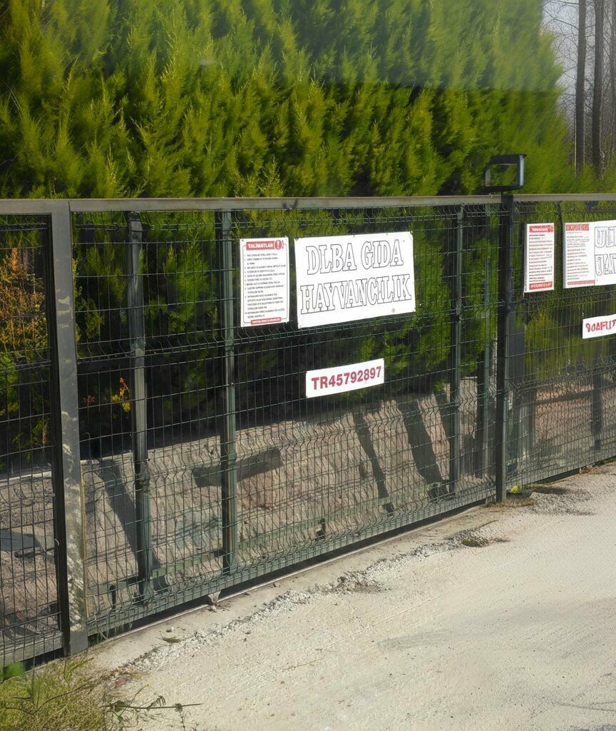 Intensive animal farming Dlba, Turgutlu, photo