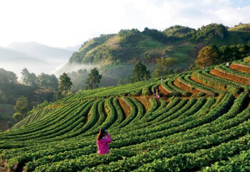 Фото Kasarin Court