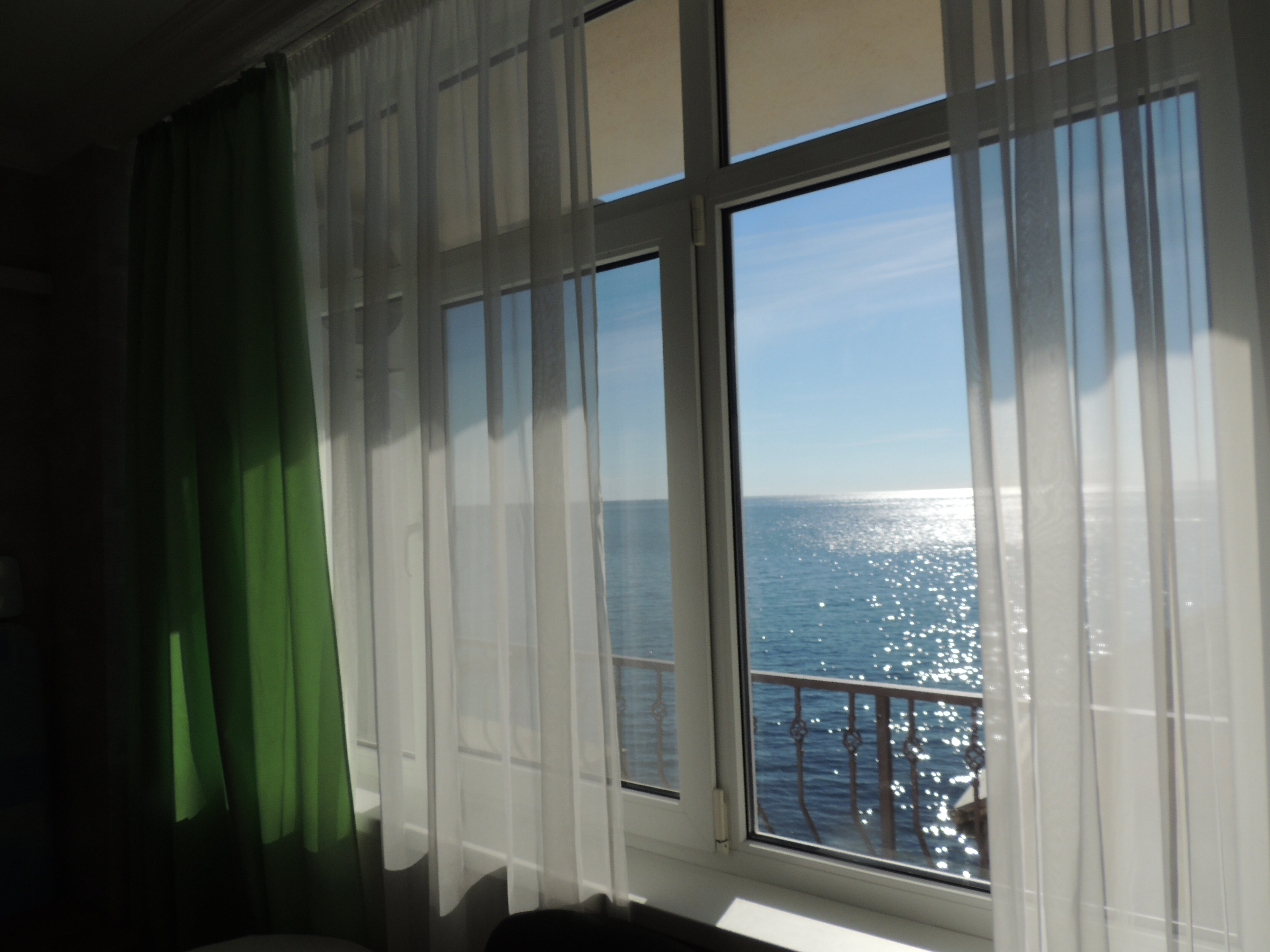 Фото Кокос эллинг