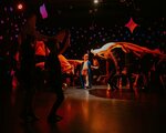 Ирбис (ulitsa Turgeneva, 9/7) ، تعليم المسرح والسيرك
