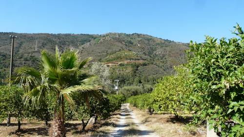 Фото Agricontura