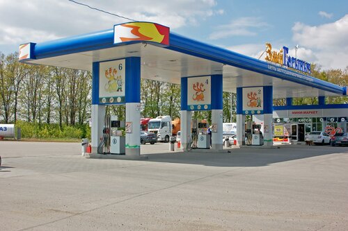 Gas station Змей Горыныч, Ryazan Oblast, photo