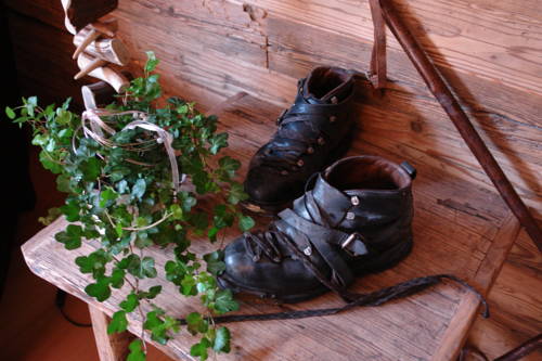 Фото Hotel Gamshof