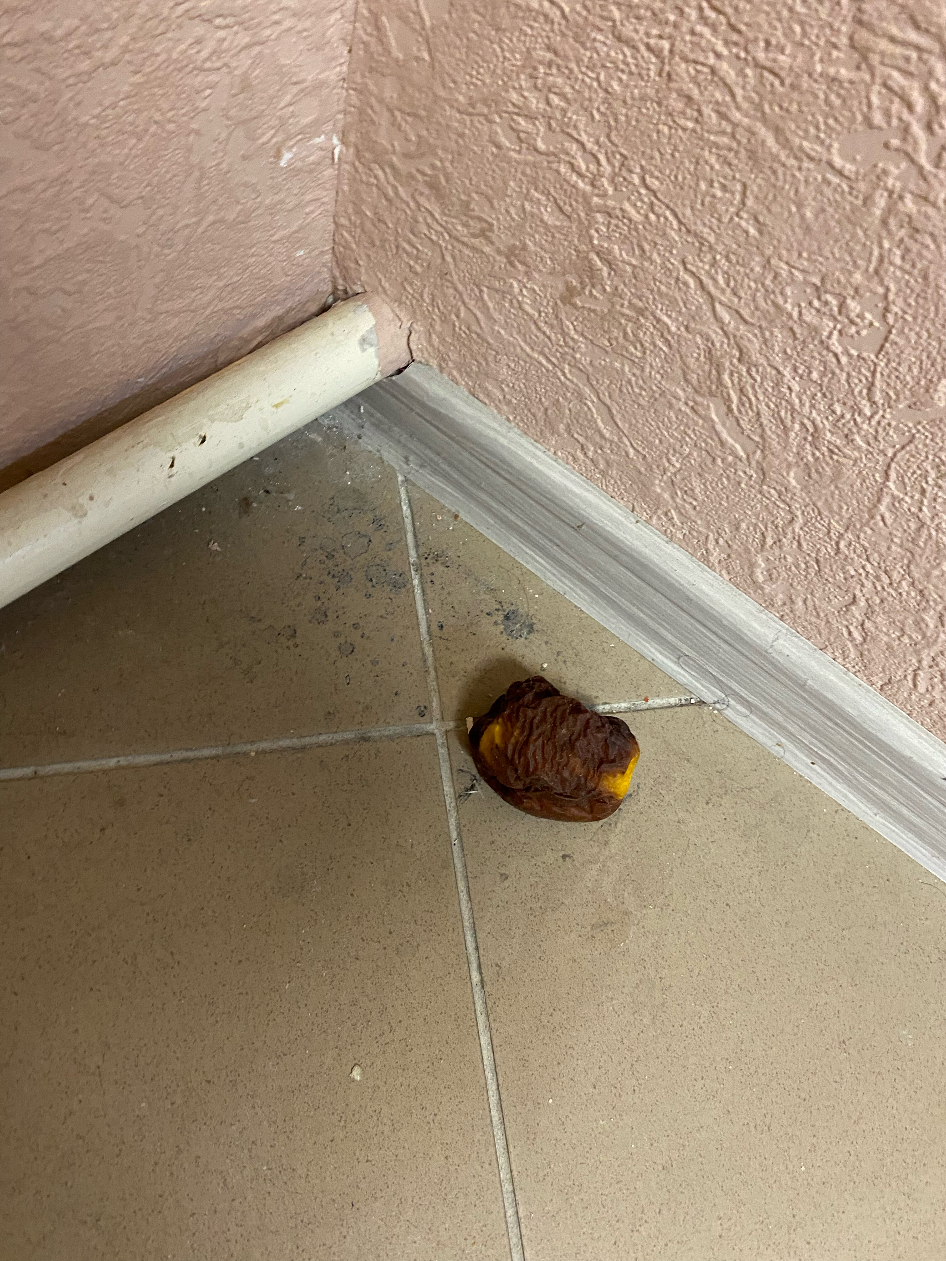 Фото Эврика